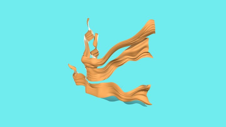 Cloth 3D Model