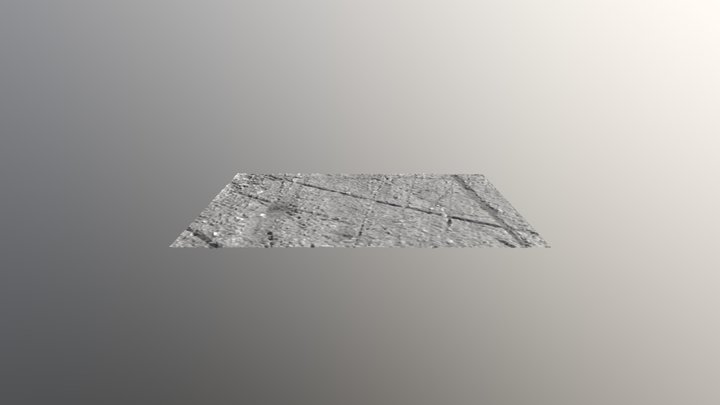 Alligator 3D Model