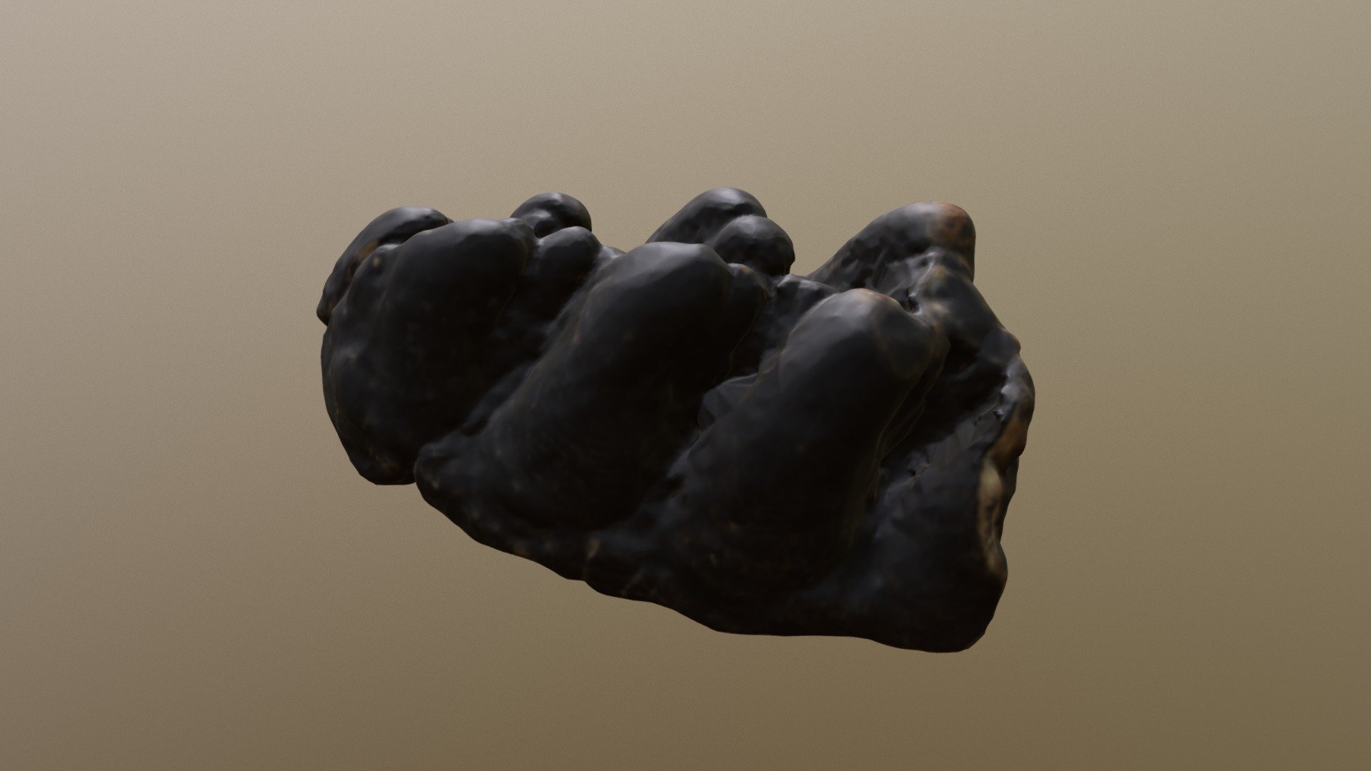 USNM PAL 305216 Gomphothere Molar (VCU_3D_3325)