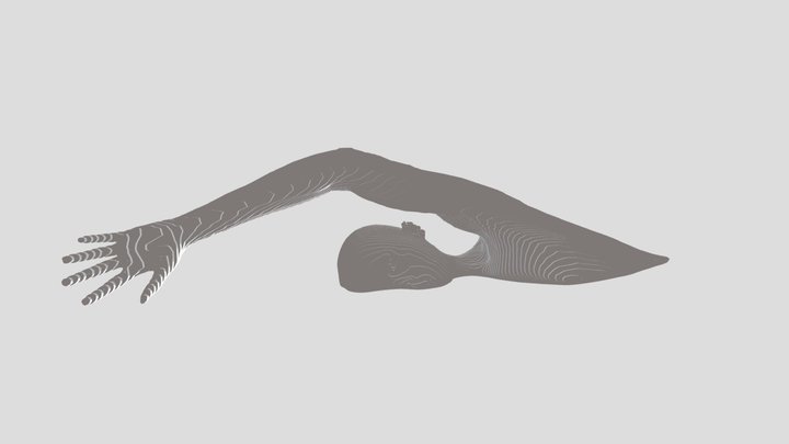 Front crawl swimmer - DIGITAL BODIES 3D Model