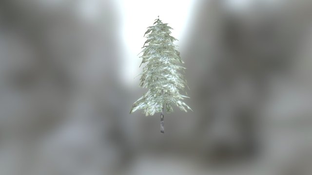 Tree Pine Animation 3D Model