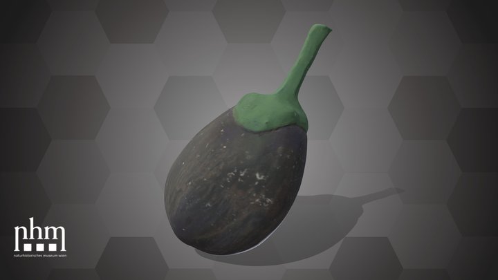 Eggplant (NHMW-AFW-DING-0046-079) – Modèle 3D gratuit STL