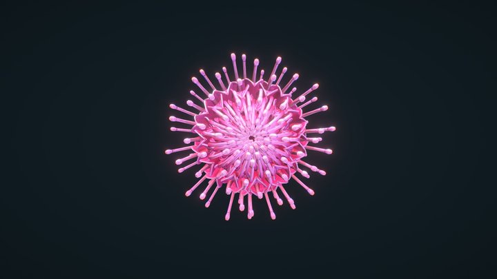 Waratah Test 3D Model