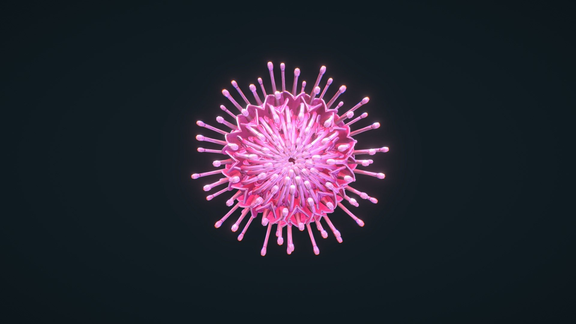 Waratah Test