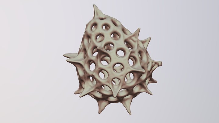 Radiolaria squeleton (fossil) 3D Model