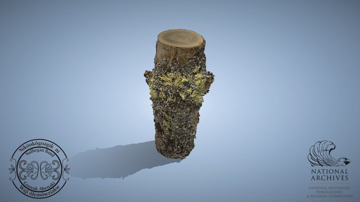 Black Ash Tree log 3D Model