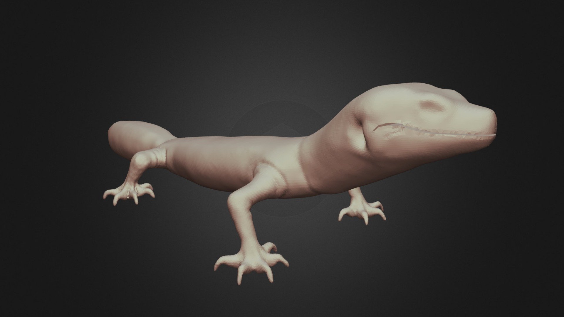 Leopard Geko