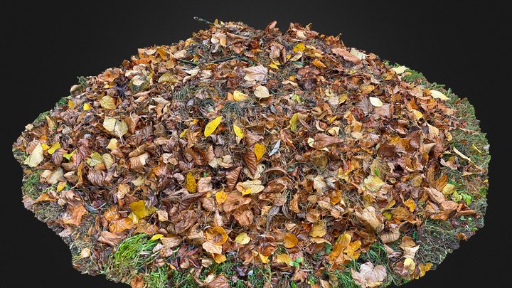 Leaf Pile (High Poly raw ) Scan 3D Model