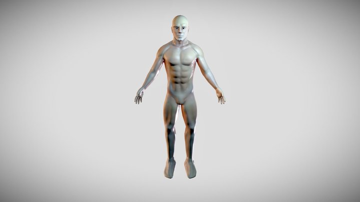 body sketchfab 3D Model