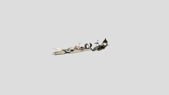 Rock Photoscans 3D Model