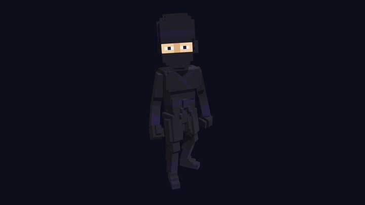 3D Voxel Model - Ninja Character 3D Model