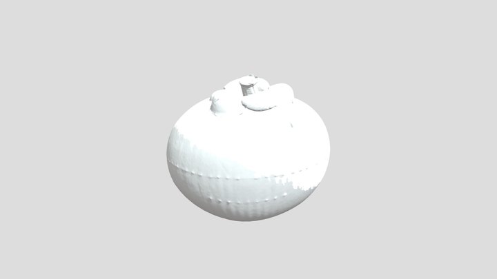 Garcinia prainiana/button mangosteen 3D Model