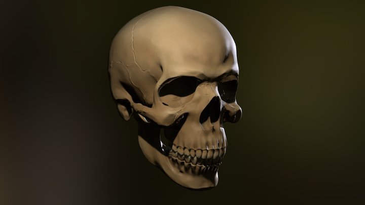 My Sketchfab Mesh 3D Model