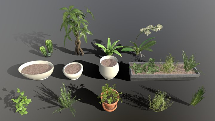 House Plants 3D Model
