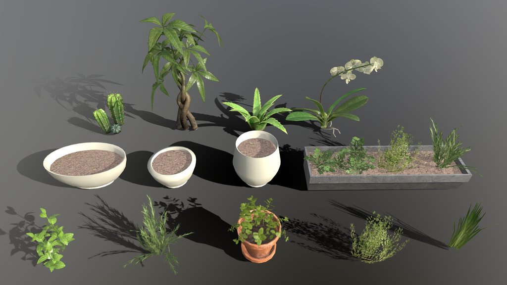 House Plants