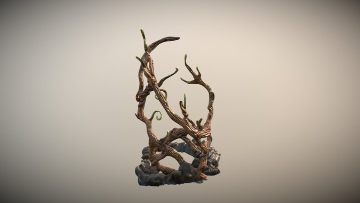 Root Trap 3D Model