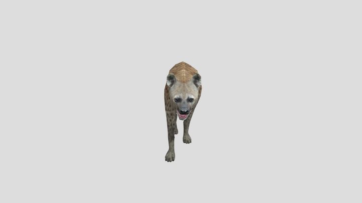 Hyena – Modello 3D gratuito STL