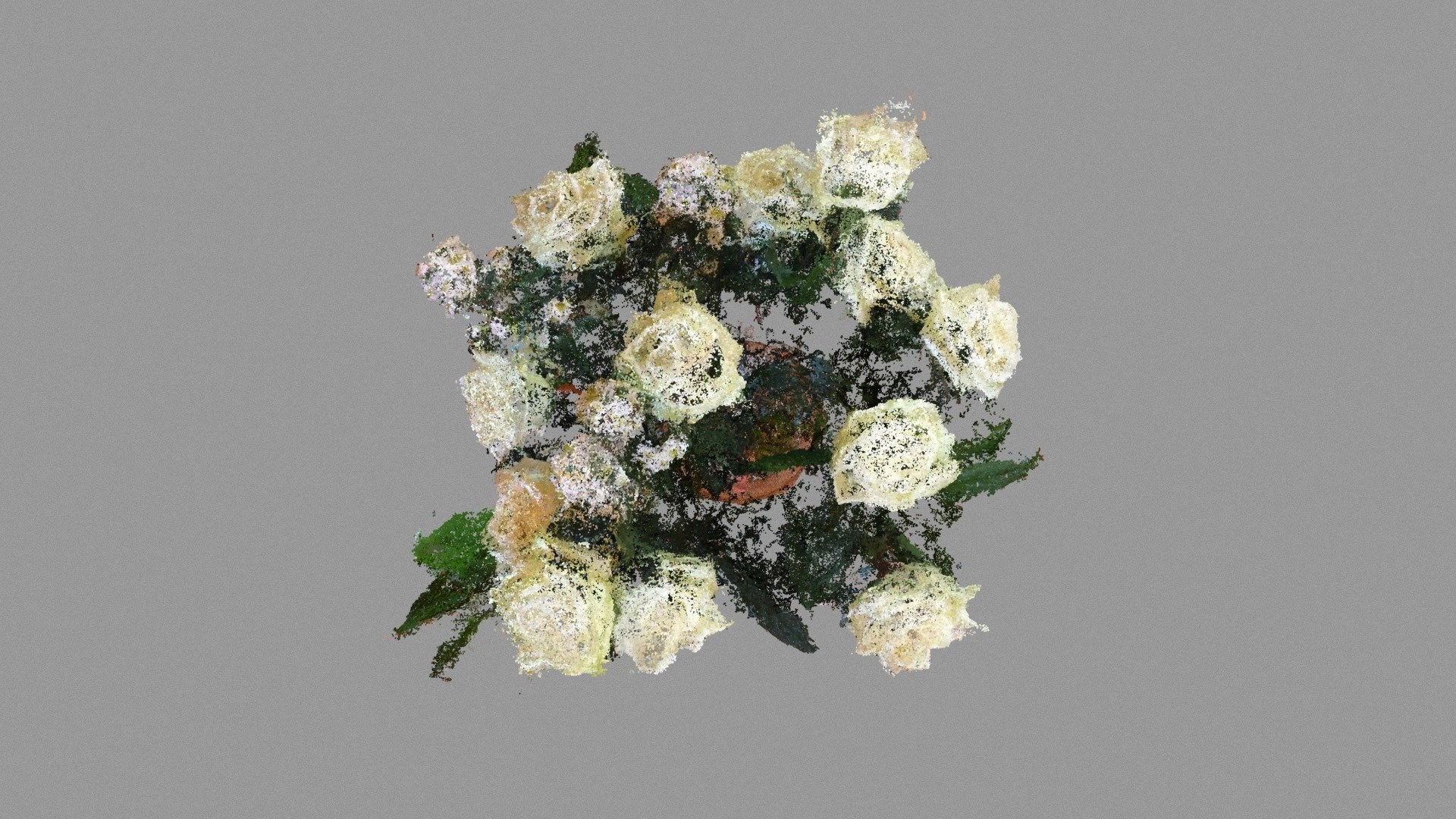 A point cloud of roses