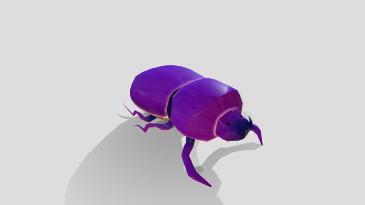 Low Poly Beetle Model 3D Model