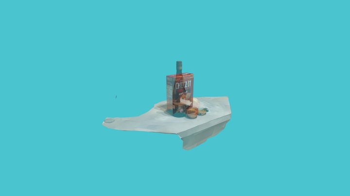 Still Life Photo Mode 3D Model