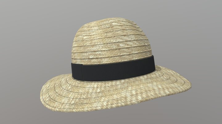 Hat Low 3D Model