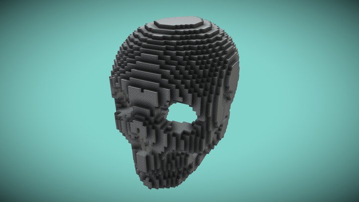 Human Skull 73x100x96 [MC] 3D Model