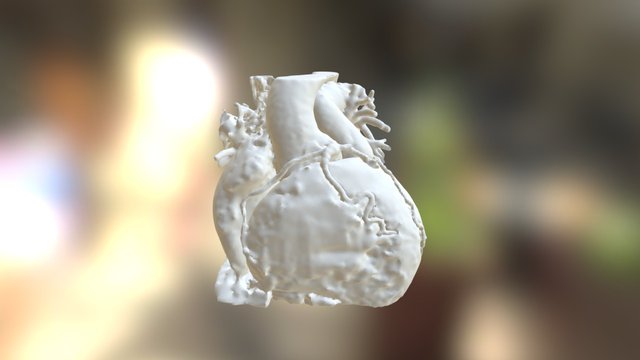 tga 3D Model