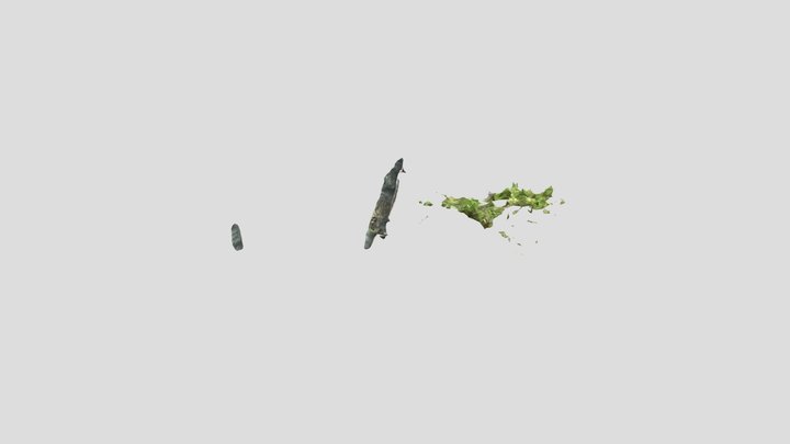 ritsumei25_自然冒険 3D Model