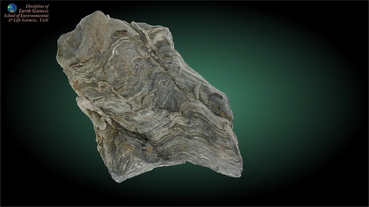 Tia Complex migmatitic schist – Modello 3D gratuito STL