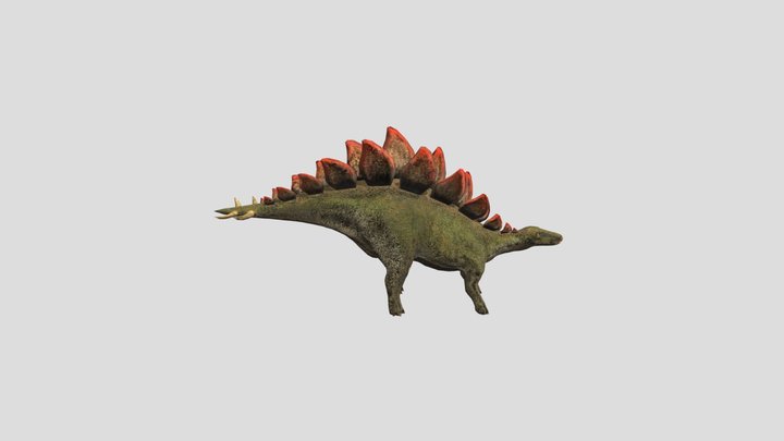 Stegosaurus 3D Model