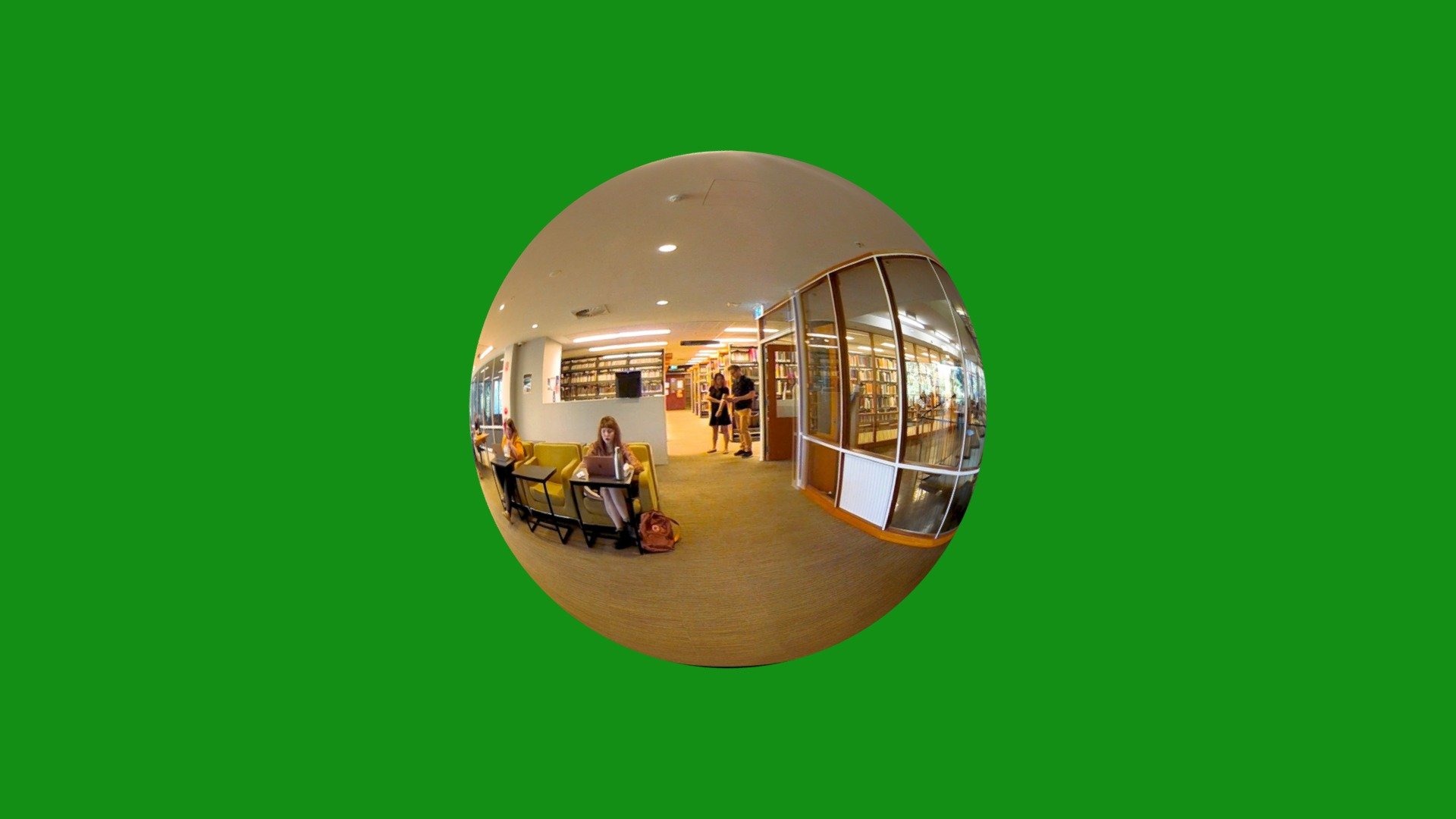 Arts West Professors Walk - duplicated version