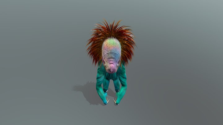 cicumeauu 3D Model