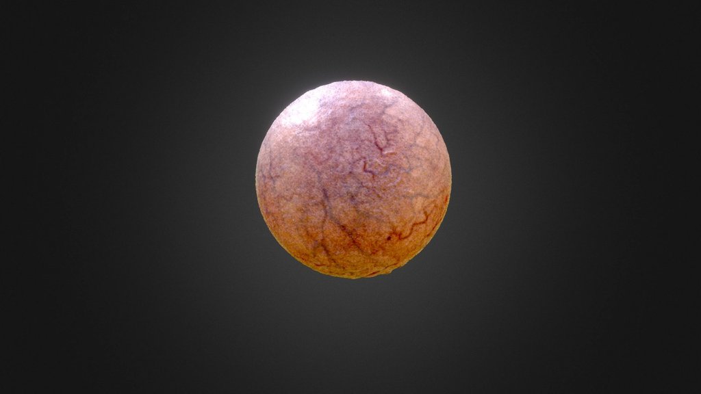 Skin-glob-paint-pbr-test - 3D model by octopusrobot [136deda] - Sketchfab