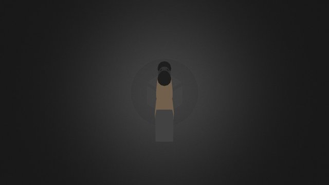 RSASS 3D Model