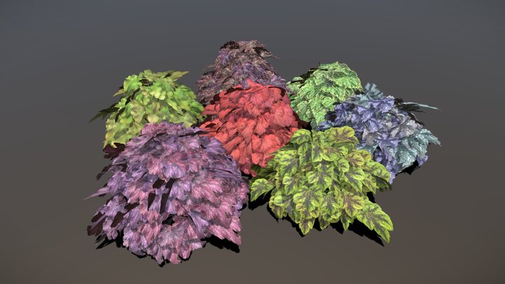 heuchera ヒューケラ 3D Model