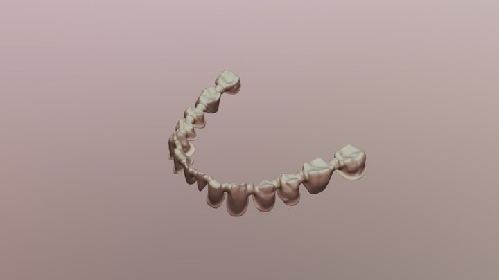 bridge 14 dent métalo-céramique 3D Model