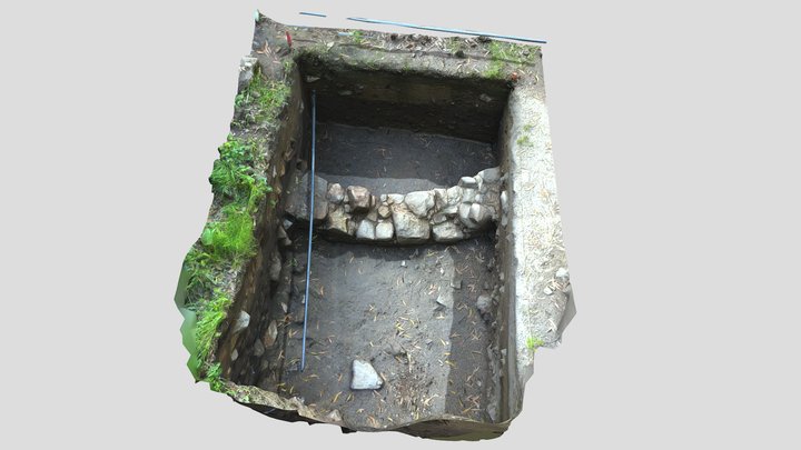 Cata arqueológica Castro de A Guía 3D Model