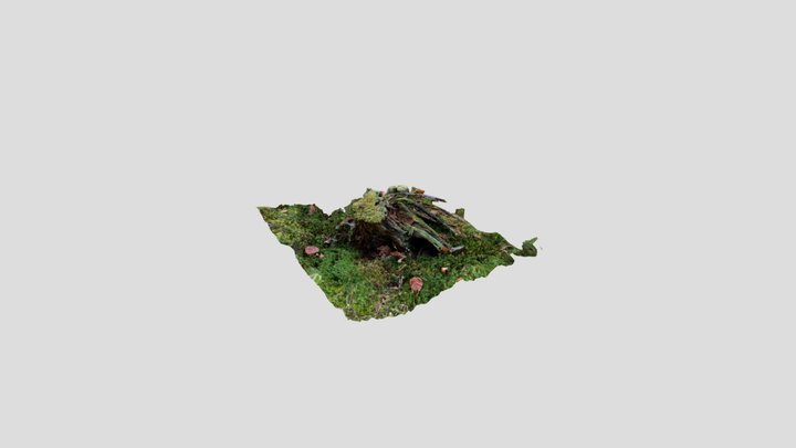 Stump 3D Model