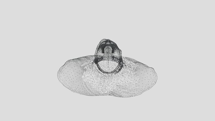 modelpcloud 3D Model
