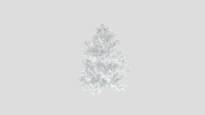 Pine Tree 3D Model