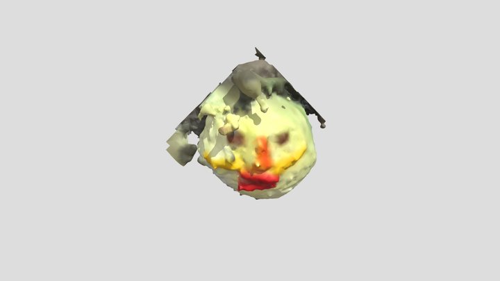 cabbage_face_point_2 3D Model