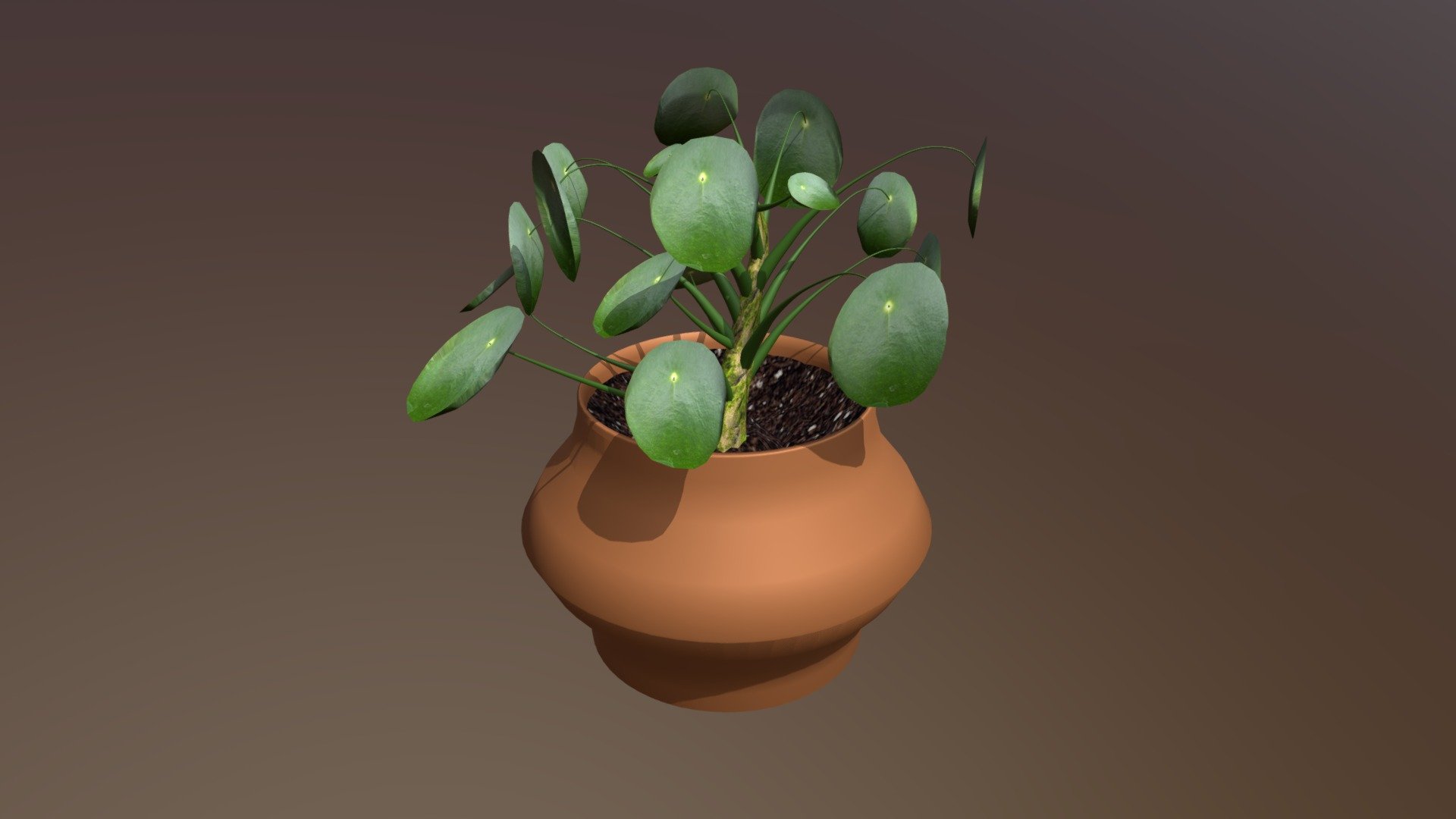 Plant