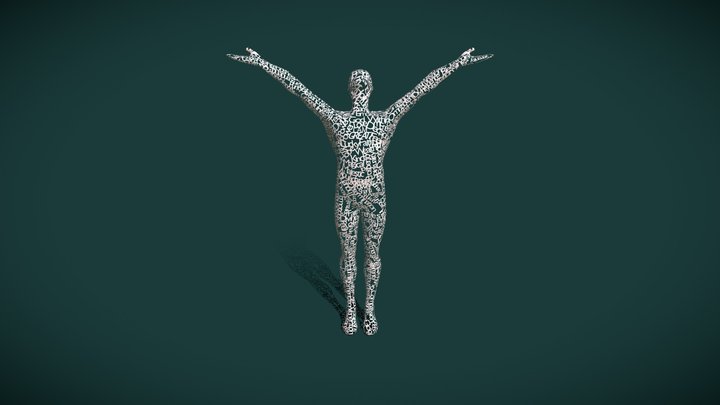 Body Words Wrap 3D Model