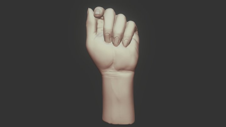 Female Hand 3D Model