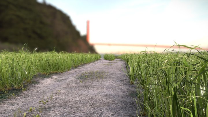 Dusty path in the fields 3D Model