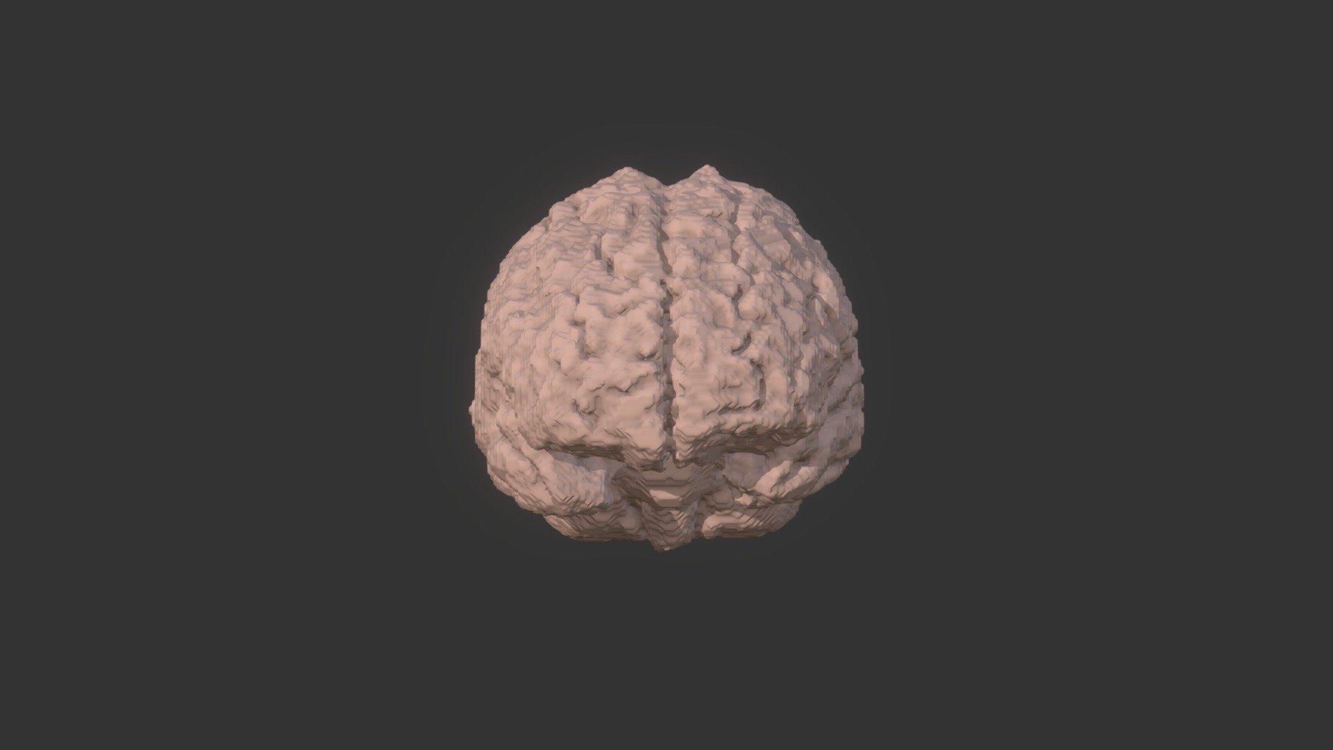 3D Brain Model