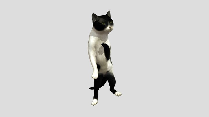 Bipedal Cat at the Shore 3D Model