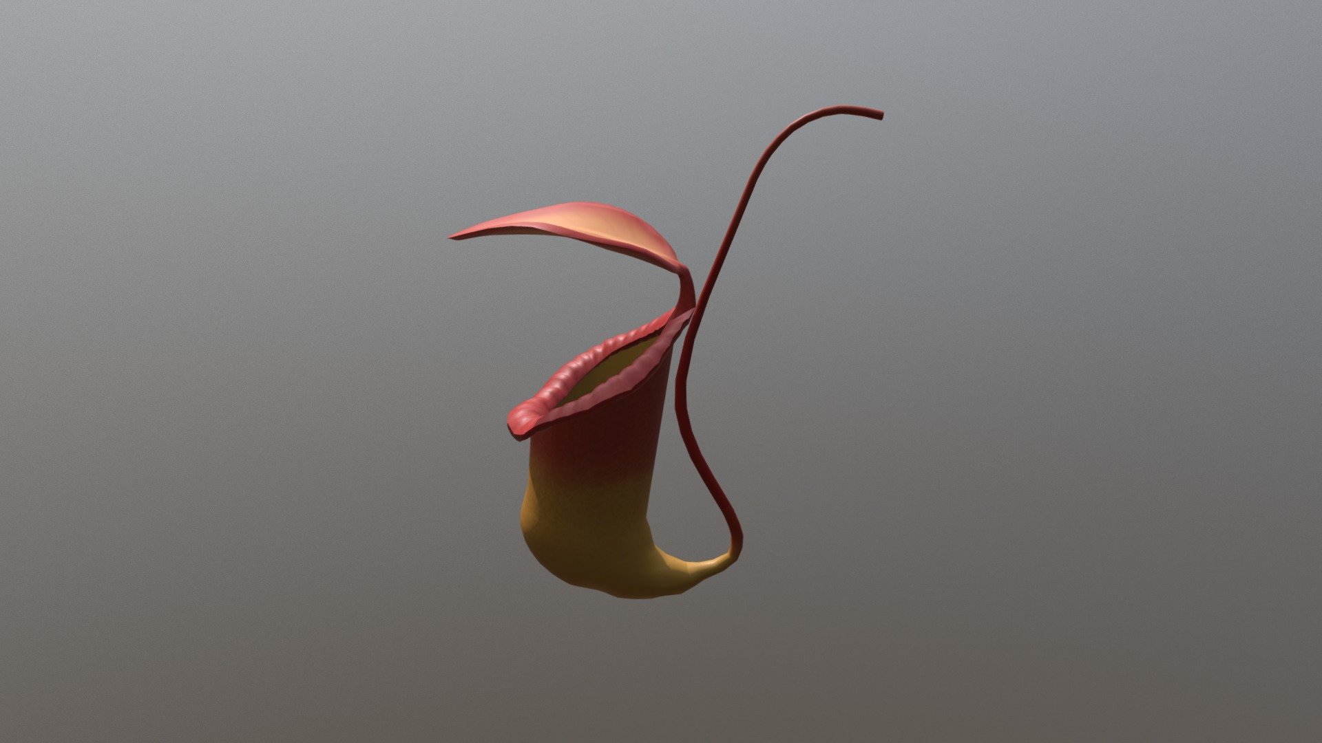 Carnivorous plant
