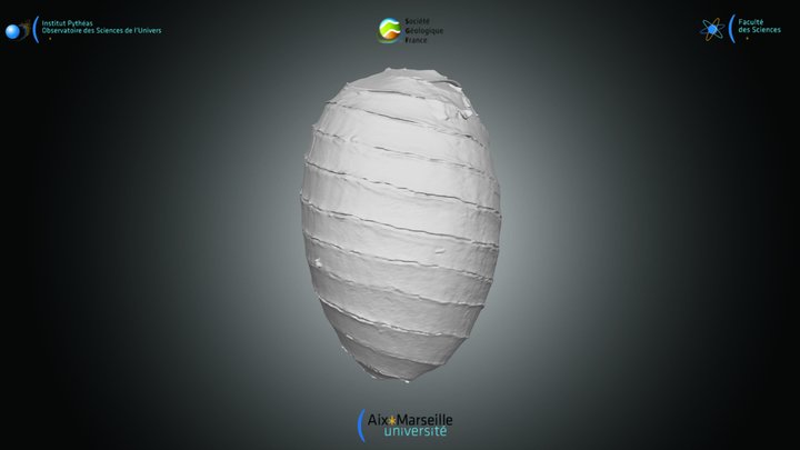 Charophyte - Oospore indét. 2 – Kostenloses 3D-Modell STL