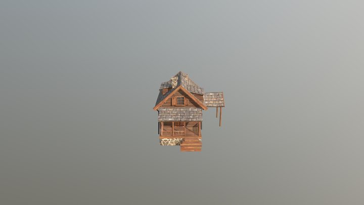 1DAE11_Skim_Amber_House - forest loner 3D Model